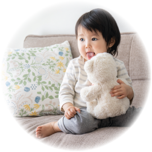 洗うことのできないソファやぬいぐるみに