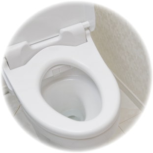 菌の増殖しやすいトイレに